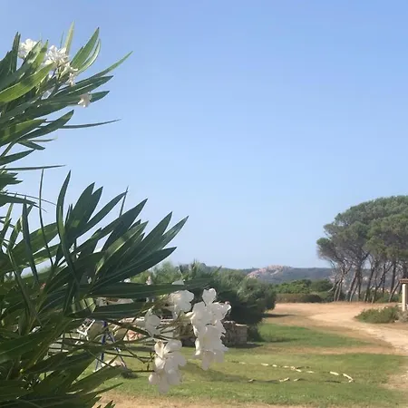 Sul Mare Palau